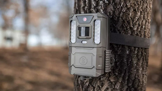 Best trail cameras in 2022: great camera traps for stunning wildlife shots